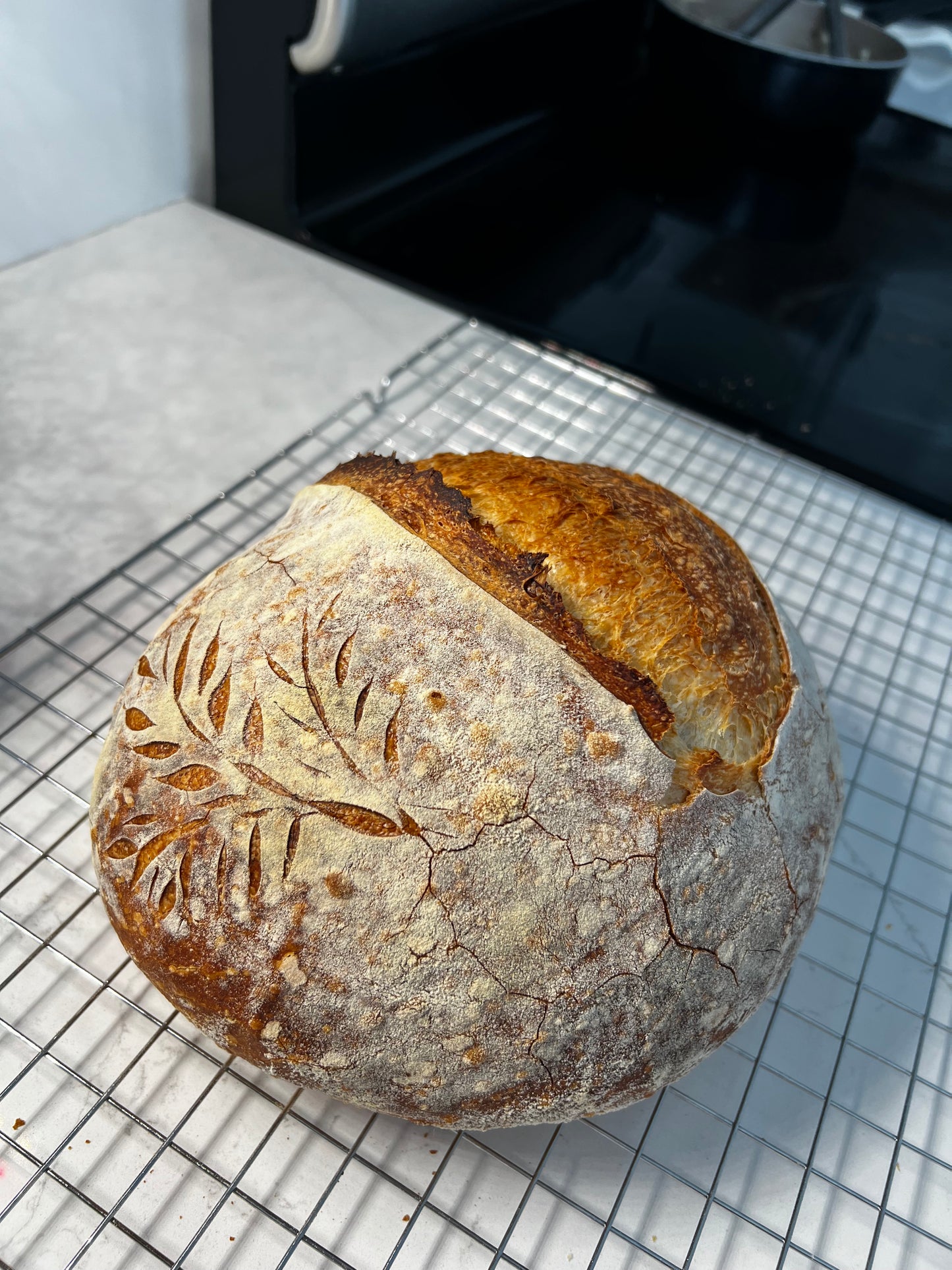 Rosemary Garlic Parmesan Sourdough